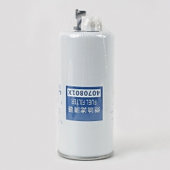 Filtro de combustible, roscado 4070801X