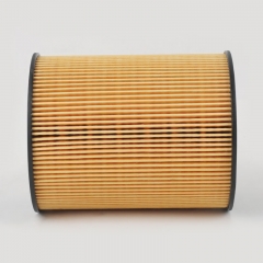 Filtro de combustible SN25084