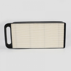 Filtro de aire DSA6579