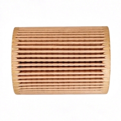 Filtro de combustible 1017110XED95