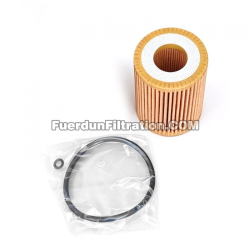 Filtro de combustible 1017110XED95