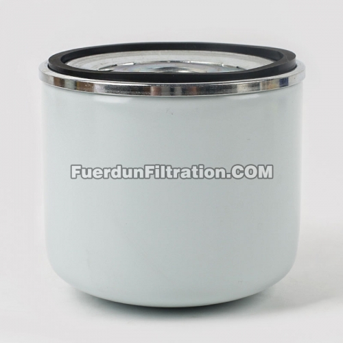 Filtre à carburant 1009829265