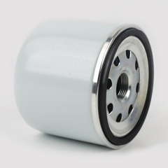 Filtre à carburant 1009829265