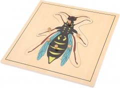 Materiales Montessori, herramientas educativas, avispas de insectos, rompecabezas preescolar, juguetes para niños pequeños