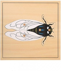 Montessori Matériaux Outils éducatifs Puzzle Cigales Insectes Jouets Montessori préscolaires pour les tout-petits