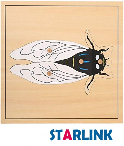 Montessori Matériaux Outils éducatifs Puzzle Cigales Insectes Jouets Montessori préscolaires pour les tout-petits