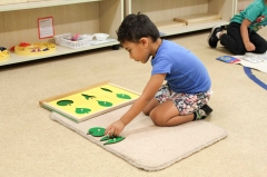 Bébé Jouets Montessori Botanique Feuille d'armoire à quatre armoires en forme de feuille Panneau de panneau de feuille Cabinet de la petite enfance enfant enfant préscolaire