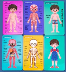 Quebra-cabeça de madeira de cognição corporal infantil menino menina crescer estrutura corporal anatomia quebra-cabeças montessori brinquedos para crianças