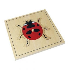 Montessori Materialien Bildungs Werkzeuge Insekt Marienkäfer Puzzle Vorschule Früh Montessori Spielzeug für Kleinkinder