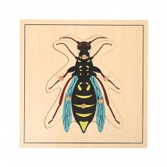 Montessori Materialien Bildungs Werkzeuge Insekten Wasp Puzzle Vorschule Früh Montessori Spielzeug für Kleinkinder