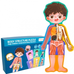 Quebra-cabeça de madeira de cognição corporal infantil menino menina crescer estrutura corporal anatomia quebra-cabeças montessori brinquedos para crianças