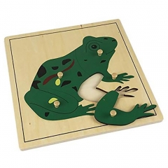 Wholesale Baby Wooden Toy Parts of Frog Puzzle Learning Kindergarten Montessori Materials Biology Jigsaw Puzzle Toy