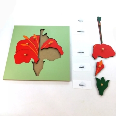 Montessori Wooden Toys for kids Learning Material Biology Teaching Resources Montessori MDF Leaf Puzzle