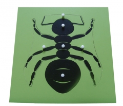 Montessori Materials School Educational Wooden Puzzle Toys Montessori Mdf Ant Puzzle