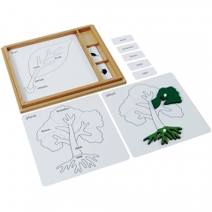 Montessori Biology Botany Materials Educational Nursery Wooden Toy Botany Puzzle Activity Set