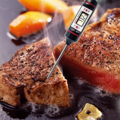 KT-33 Digital LCD meat temperature long probe water food testing cooking BBQ thermometer