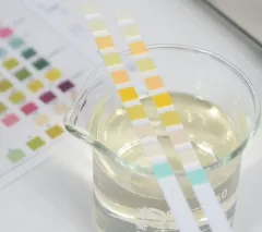 Urine reagent strip for 10 parameters URS-10T