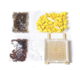 Jenter Queen Rearing Kit