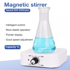 Laboratory Equipment 300-2000rpm 1L Strong Magnet Oil Magnetic Stirrer