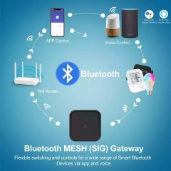 Wi-Fi Bluetooth Water Timer, Soil Sensor, Wi-Fi Bridge, WG02 Hub, Remote Control Smart Fingerprint Lock, Work with Alexa Voice Control