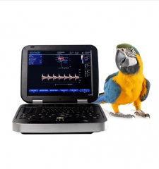 Veterinary Ultrasound Portable Color Doppler Ultrasound Machine PU-VL151A