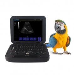 Black and white Veterinary Laptop Ultrasound Diagnostic System PU-DL151A