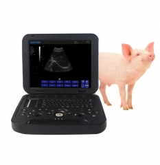 Black and white Veterinary Laptop Ultrasound Diagnostic System PU-DL151A