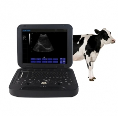 Black and white Veterinary Laptop Ultrasound Diagnostic System PU-DL151A