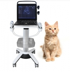 Veterinary Ultrasound Portable Color Doppler Ultrasound Machine PU-VP151A