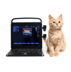 Veterinary Ultrasound Portable Color Doppler Ultrasound Machine PU-VP151A