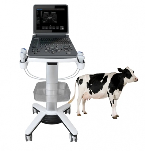 PU-VDL121A Black and white Veterinary Laptop Ultrasound