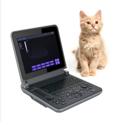 PU-VDL121A Black and white Veterinary Laptop Ultrasound