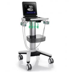 New Premium Diagnostic Ultrasound System Medical Trolley PMS-MT1