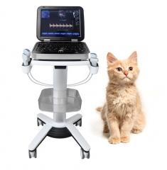 Veterinary Ultrasound Portable Color Doppler Ultrasound Machine PU-VL151A