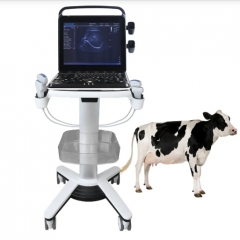 Veterinary Ultrasound Portable Color Doppler Ultrasound Machine PU-VP151A