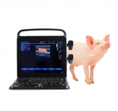 Veterinary Ultrasound Portable Color Doppler Ultrasound Machine PU-VP151A