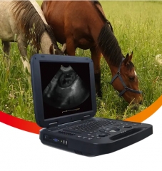 Black and white Veterinary Laptop Ultrasound Diagnostic System PU-DL151A