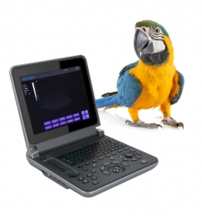 PU-VDL121A Black and white Veterinary Laptop Ultrasound