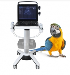 Veterinary Ultrasound Portable Color Doppler Ultrasound Machine PU-VP151A