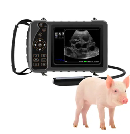 Veterinary Ultrasound Portable Color Doppler Ultrasound Machine PU-VP051A