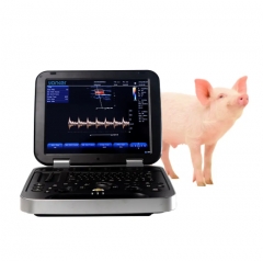 Veterinary Ultrasound Portable Color Doppler Ultrasound Machine PU-VL151A