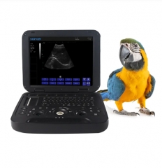 Black and white Veterinary Laptop Ultrasound Diagnostic System PU-VDL151A