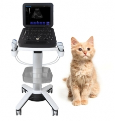 Black and white Veterinary Laptop Ultrasound Diagnostic System PU-DL151A