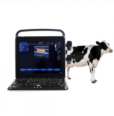 Veterinary Ultrasound Portable Color Doppler Ultrasound Machine PU-VP151A