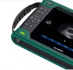 Veterinary Ultrasound Portable Color Doppler Ultrasound Machine PU-VP081A