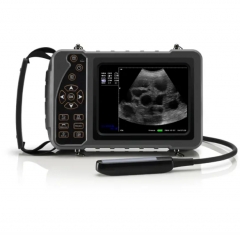 Veterinary Ultrasound Portable Color Doppler Ultrasound Machine PU-VP051A