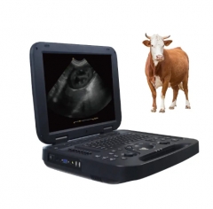 Black and white Veterinary Laptop Ultrasound Diagnostic System PU-DL151A