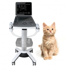 PU-VDL121A Black and white Veterinary Laptop Ultrasound