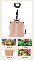 NS-22 Weighing 50kg/110lbs Portable Digital Luggage Hand Scale, Handheld Suitcase Weighing Tool with LCD Display & Hook/Belt