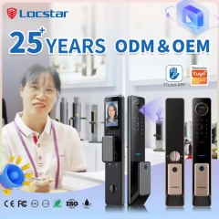 YH-C19 Security Digit Electric Electronic Handle Digital Tuya Ttlock Cerraduras Inteligentes Con Wifi Keys Fingerprint Door Smart Locks
